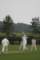 davebridgland6_small.jpg