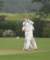 davebridgland9_small.jpg