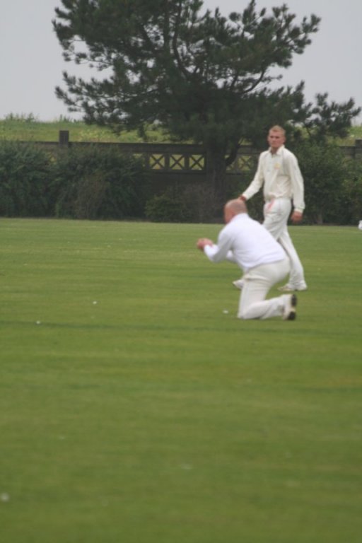 marktattersall3.jpg