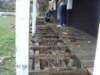 verandah4_small.jpg